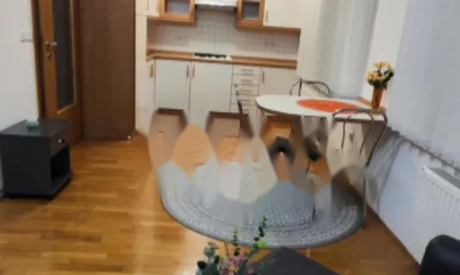 Недвижимость Квартира Гарсоньера Ново Брдо: 4