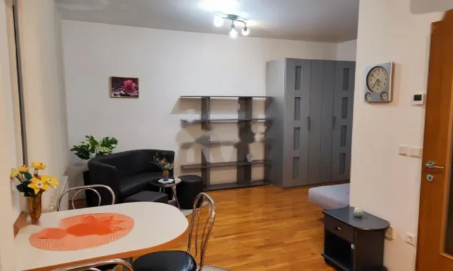 Недвижимость Квартира Гарсоньера Ново Брдо: 5