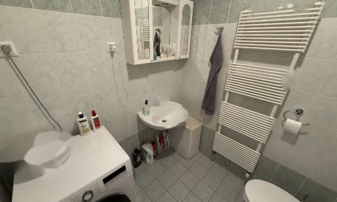 Недвижимость Квартира 1-комнатная Шишка: 9