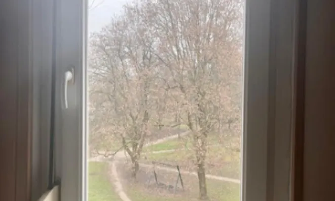 Недвижимость Новая Шишка - Квартира 2.5 комн.: 8