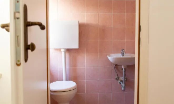 Недвижимость Квартира 5 комнат и более: 15