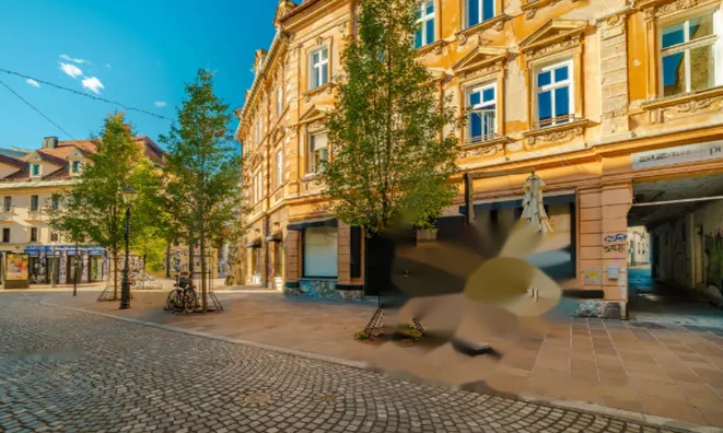 Недвижимость Коммерческое помещение в центре: 14