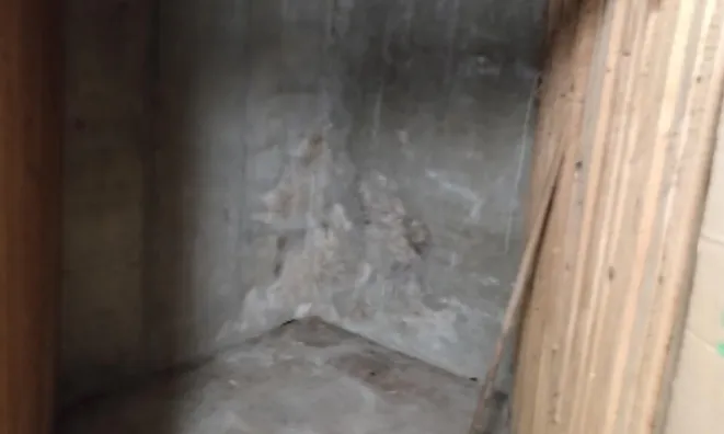 Недвижимость Двухкомнатная квартира в Изоле: 11