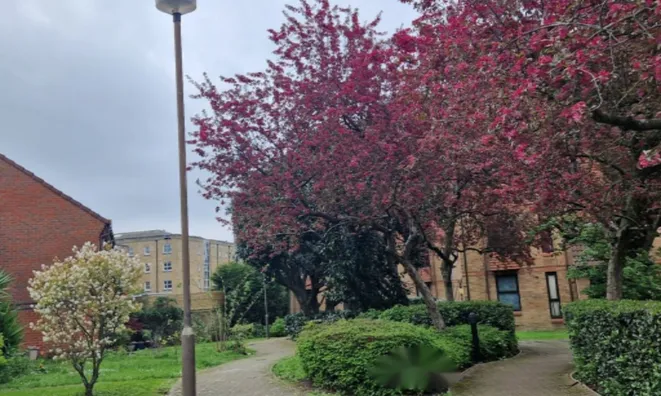 Недвижимость Coopers Close: 4