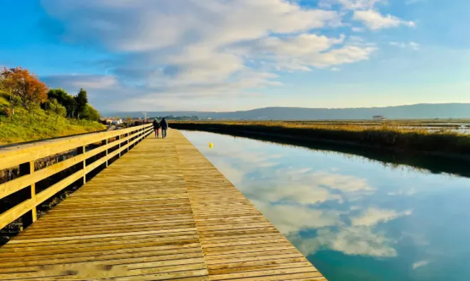 Недвижимость Квартира, 3-комн. на Сече: 2