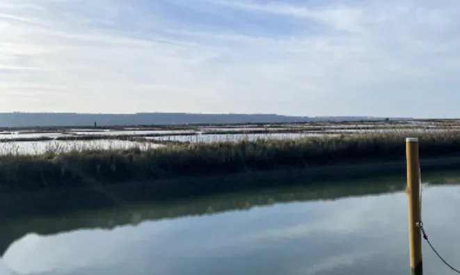 Недвижимость Квартира, 3-комнатная Новая Сеча: 4