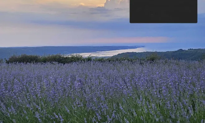 Недвижимость Дом, Св. Петер: 15