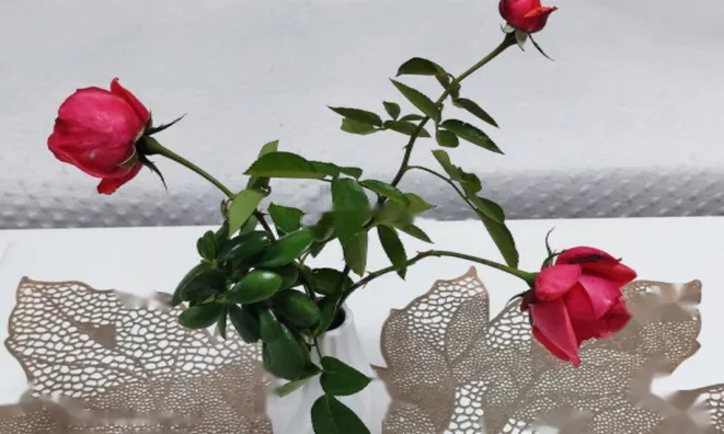 Недвижимость Трёхкомнатная квартира Бертоки: 16