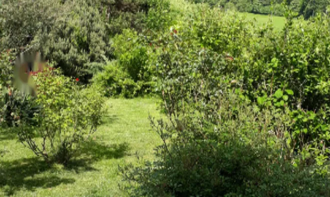 Недвижимость Дом с террасой в Руднике: 5