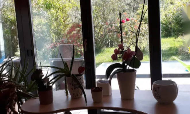 Недвижимость Дом с террасой в Руднике: 18