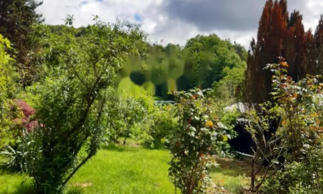 Недвижимость Дом с террасой в Руднике: 19