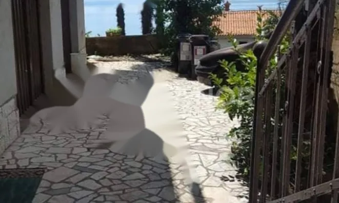 Недвижимость Семейный дом 280 м², Центр: 20