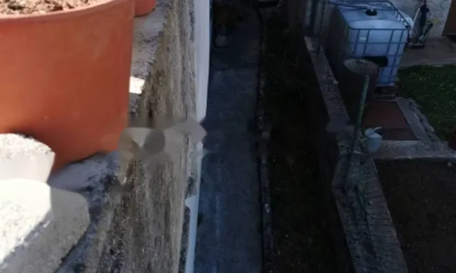 Недвижимость Семейный дом 280 м², Центр: 25