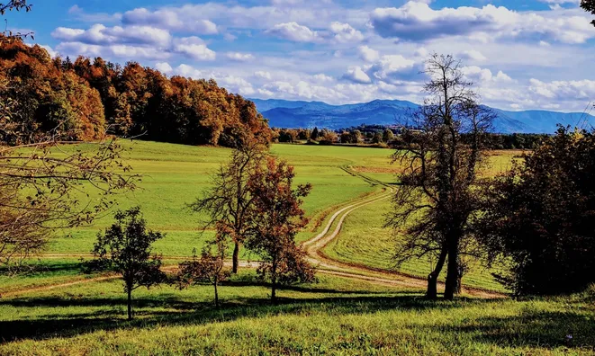 Недвижимость Земельный участок под жилую застройку (девелопмент-проект): 8