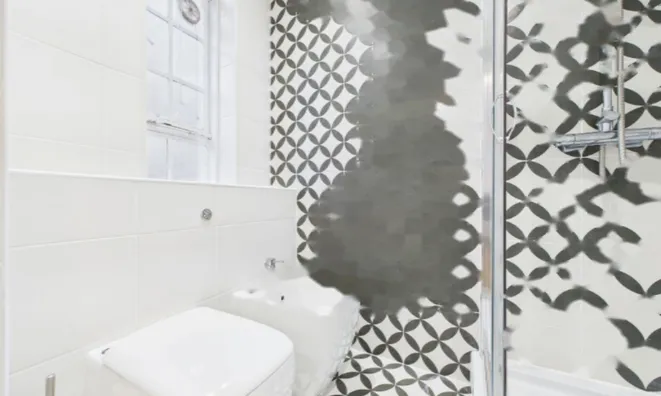 Недвижимость Chelsea Cloisters, Sloane Avenue, Chelsea: 5