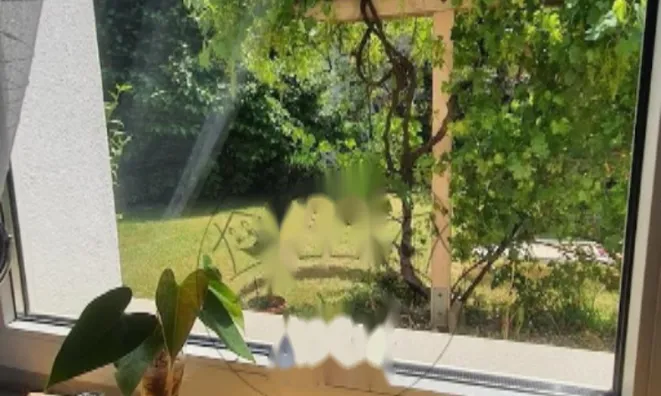 Недвижимость Двухэтажный дом с садом: 14