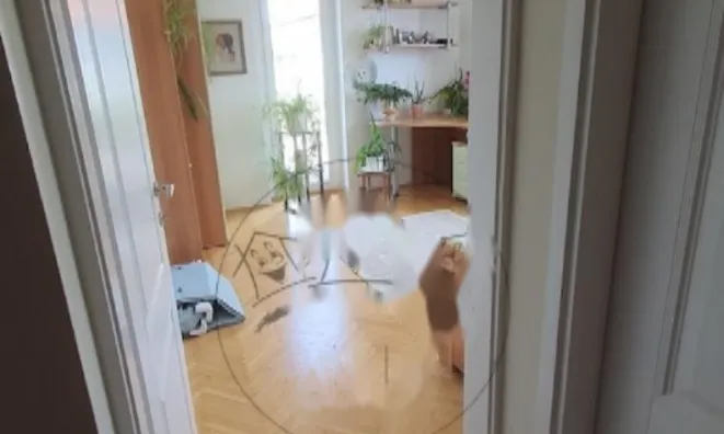 Недвижимость Двухэтажный дом с садом: 19