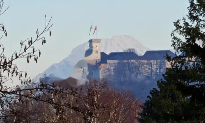 Недвижимость Дом, Другой Новый Трново: 13