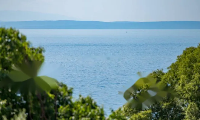 Недвижимость Двухкомнатная квартира в Центре: 2