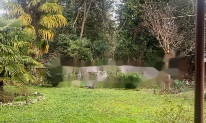 Недвижимость Квартира на улице Семинария 24: 5