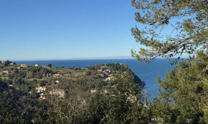 Недвижимость Дуплекс в Новом Портороже: 1