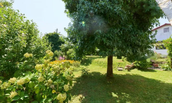 Недвижимость Двухквартирный дом Новый Подутик: 19