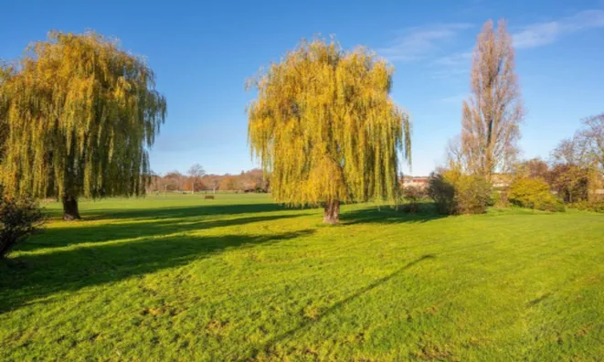 Недвижимость Oman Avenue, Gladstone Park: 2