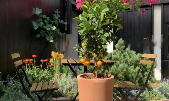 Недвижимость Дом с террасой Мургле: 6