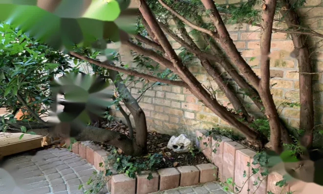 Недвижимость Дом с террасой Мургле: 9