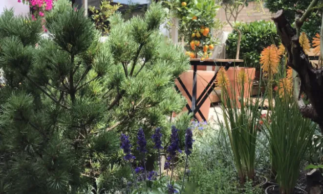 Недвижимость Дом с террасой Мургле: 11