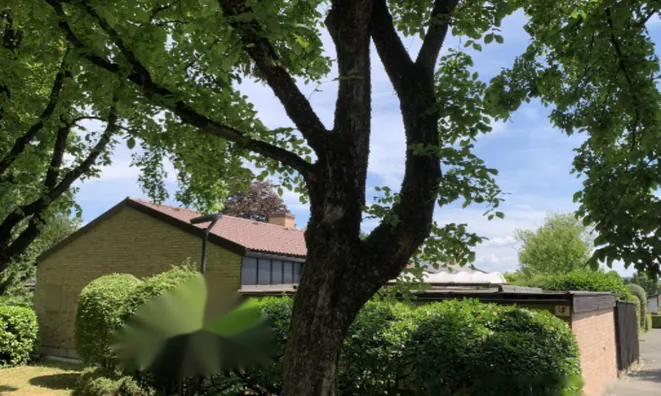 Недвижимость Дом с террасой Мургле: 16