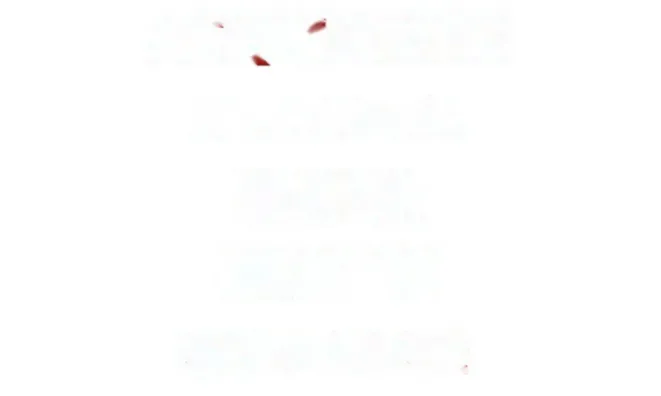 Недвижимость Квартира на аукционе, Гориция: 10