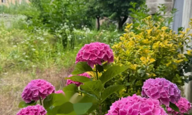 Недвижимость Квартира в Центре Горицы: 1