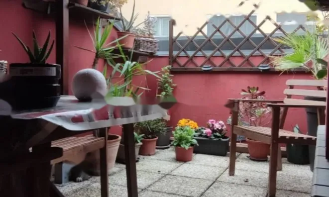 Недвижимость Четырехкомнатная в Горице: 19