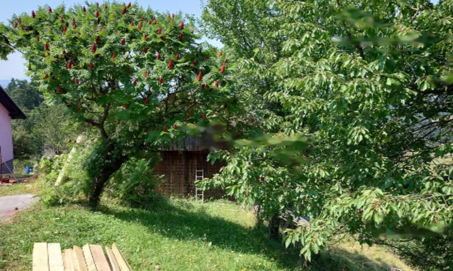 Недвижимость Имение, ферма Равне, пристава: 1