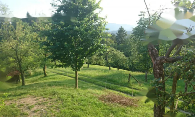 Недвижимость Имение, ферма Равне, пристава: 6