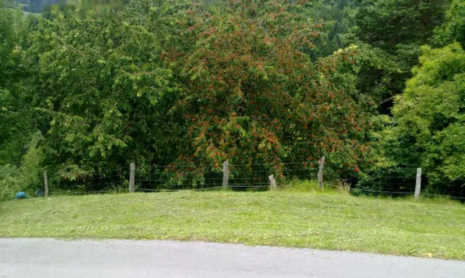 Недвижимость Имение, ферма Равне, пристава: 10