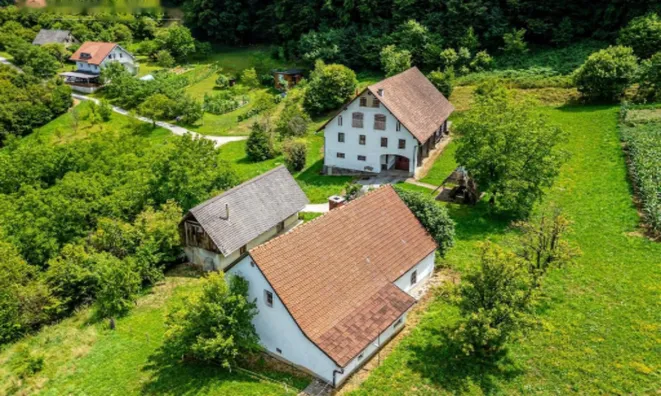 Недвижимость Усадьба, ферма Рифник, Шентюр при Целье.: 4