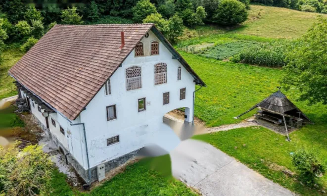 Недвижимость Усадьба, ферма Рифник, Шентюр при Целье.: 5