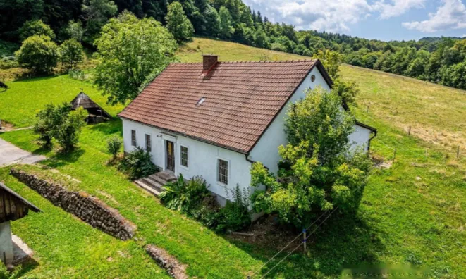 Недвижимость Усадьба, ферма Рифник, Шентюр при Целье.: 6