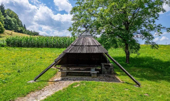 Недвижимость Усадьба, ферма Рифник, Шентюр при Целье.: 10