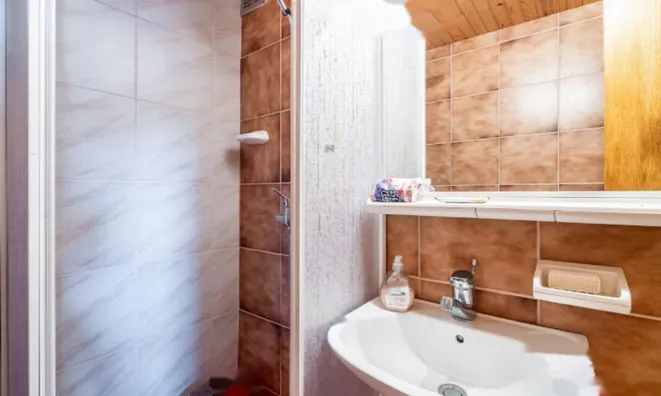 Недвижимость Усадьба, ферма Рифник, Шентюр при Целье.: 18