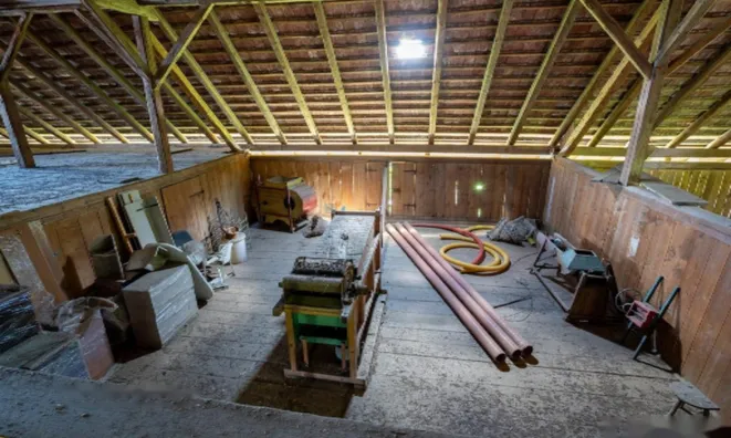 Недвижимость Усадьба, ферма Рифник, Шентюр при Целье.: 22