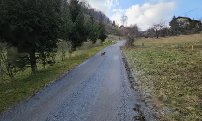 Недвижимость Усадьба, ферма Римские Топлице.: 2