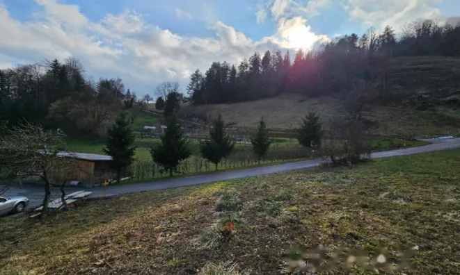 Недвижимость Усадьба, ферма Римские Топлице.: 7