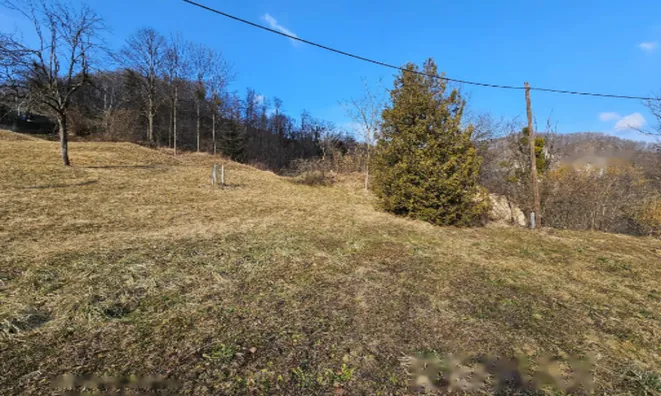 Недвижимость Усадьба, ферма Римские Топлице.: 11