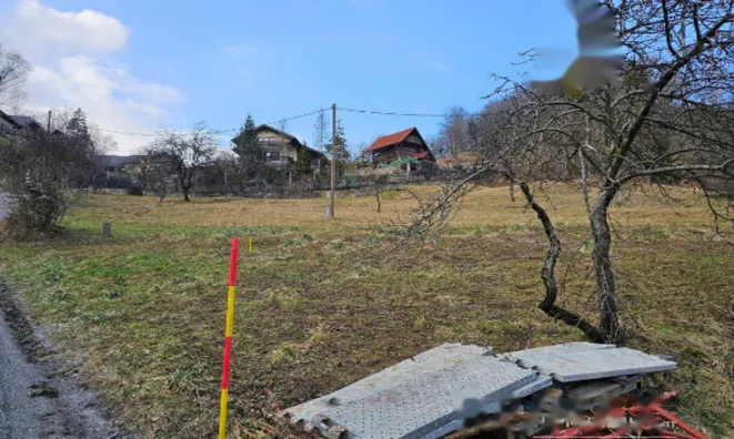 Недвижимость Усадьба, ферма Римские Топлице.: 17