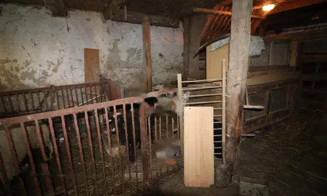 Недвижимость Усадьба, ферма Рочица: 30