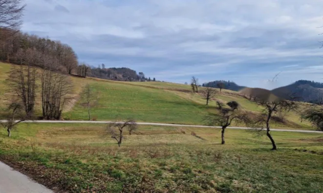 Недвижимость Усадьба, ферма Березовая.: 19