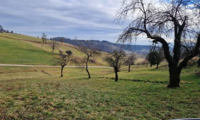 Недвижимость Усадьба, ферма Березовая.: 20